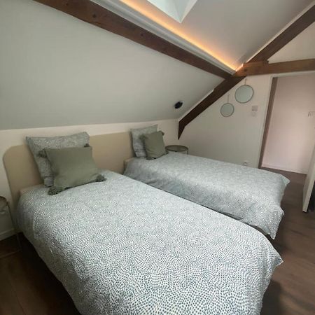 T3 Kokon Lumineux & Chaleureux, Parking, Climatisation Apartman Bagnères-de-Bigorre Kültér fotó