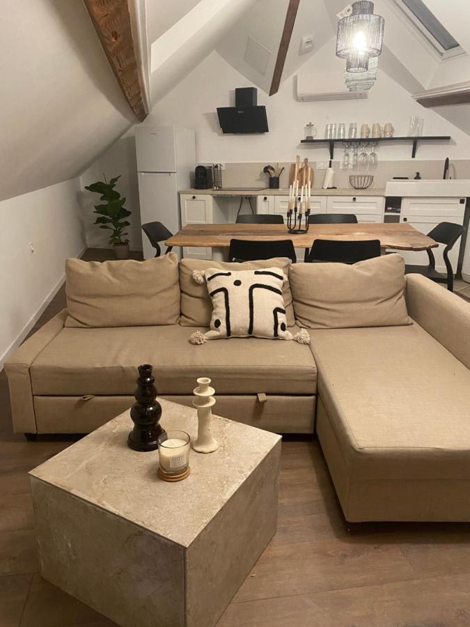 T3 Kokon Lumineux & Chaleureux, Parking, Climatisation Apartman Bagnères-de-Bigorre Kültér fotó