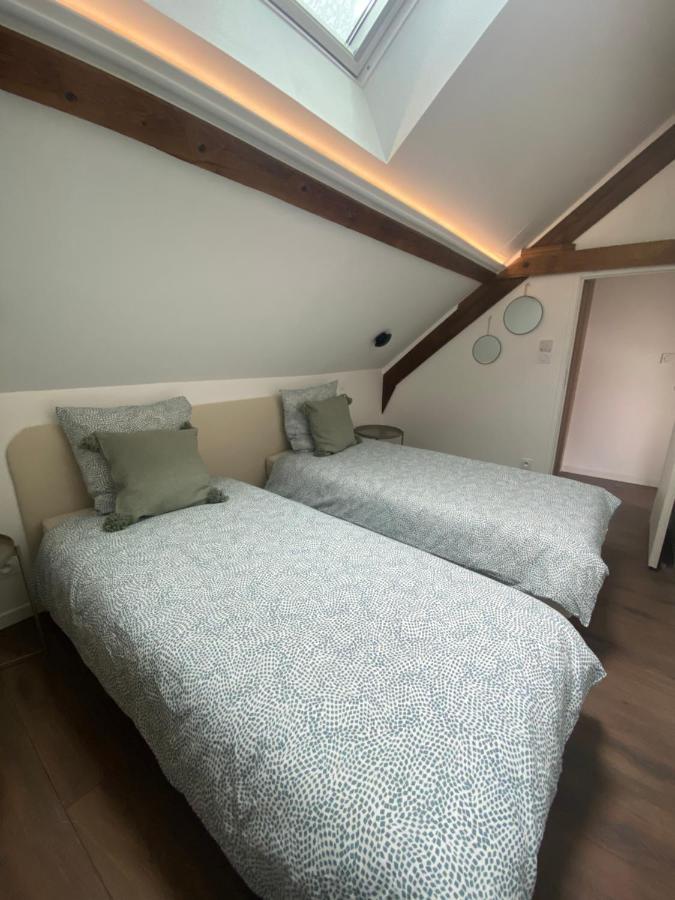 T3 Kokon Lumineux & Chaleureux, Parking, Climatisation Apartman Bagnères-de-Bigorre Kültér fotó